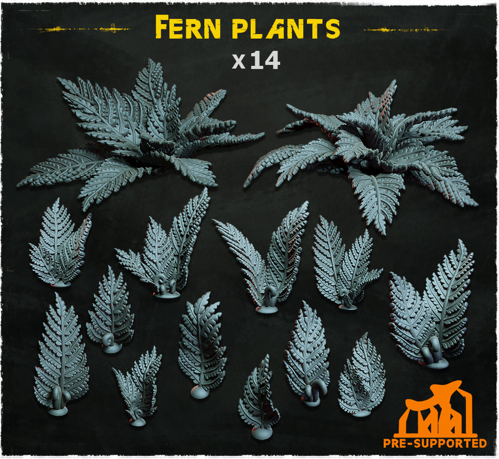 Fern