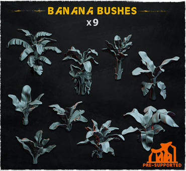 Banana Bushes