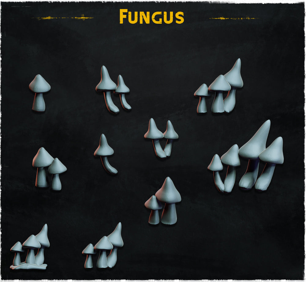 Fungus